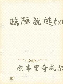 临阵脱逃txt