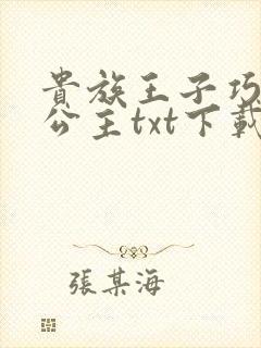 贵族王子巧遇穷公主txt下载