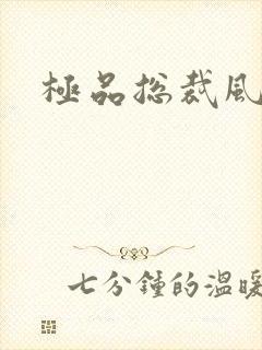 极品总裁风流录