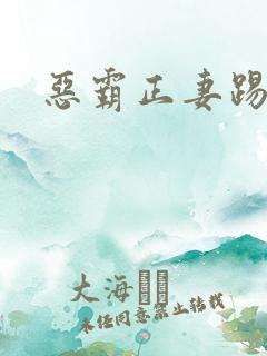 恶霸正妻踢娇妾