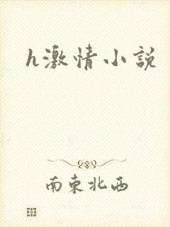 h激情小说
