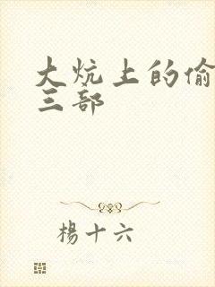 大炕上的偷乱第三部