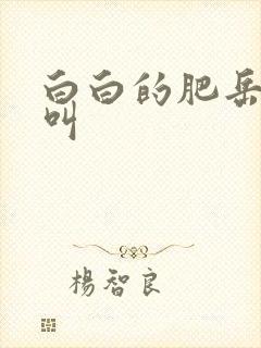 白白的肥岳嗷嗷叫