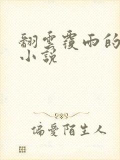 翻云覆雨的秘密小说