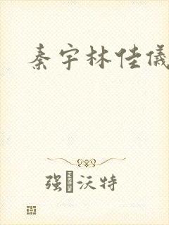 秦宇林佳仪小说