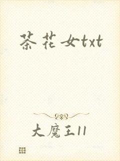 茶花女txt