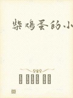 柴鸡蛋的小说