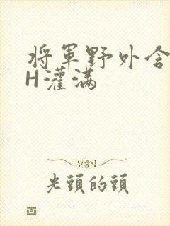 将军野外含公主H灌满