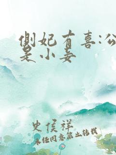 侧妃有喜:公主是小妾