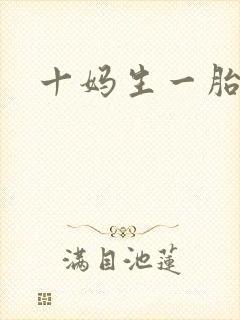 十妈生一胎