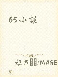 65小说