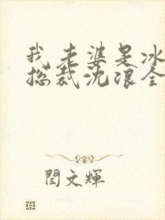 我老婆是冰山女总裁沈浪全集