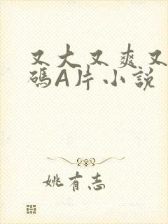 又大又爽又黄无码A片小说