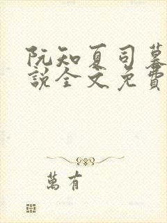 阮知夏司暮寒小说全文免费