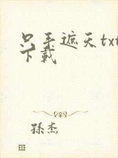 只手遮天txt下载