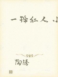 一号红人 小说