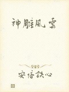 神雕风云