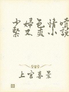 少妇色情喷水又紧又爽小说