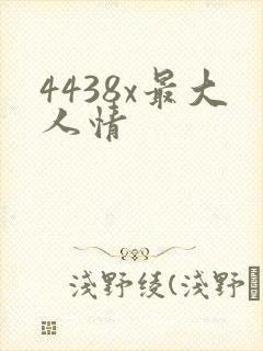 4438x最大人情