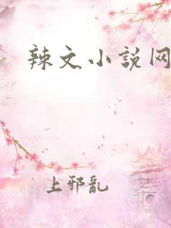 辣文小说网