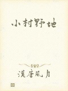 小村野地