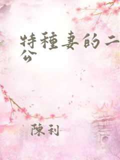 特种妻的二手老公