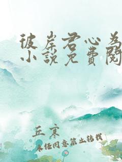 彼岸君心为我倾小说免费阅读