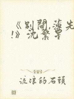 《别闹,薄先生!》沈繁星