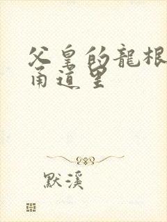 父皇的龙根在我甬道里