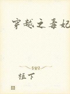 穿越之毒妃嫁到