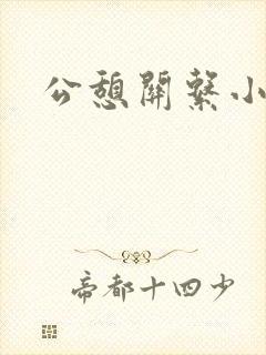 公憩关系小说