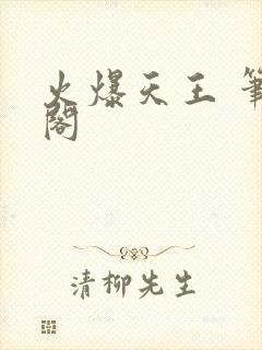 火爆天王 笔趣阁