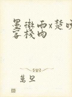 墨微雨x楚晚宁客栈肉