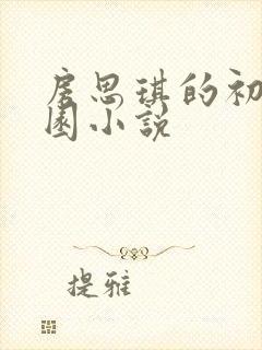 房思琪的初恋乐园小说