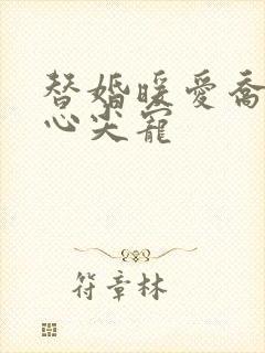 替婚暖爱乔少的心尖宠