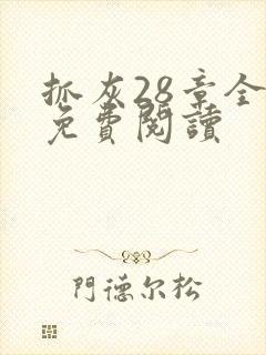 抓灰28章全部免费阅读