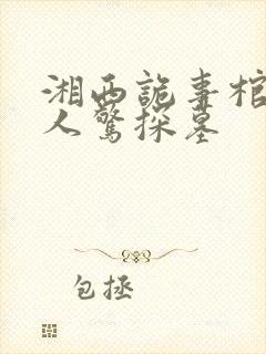 湘西诡事棺山道人惊探墓