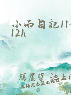小雨日记11-12h