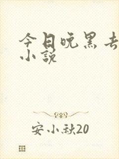 今日晚黑去见你小说