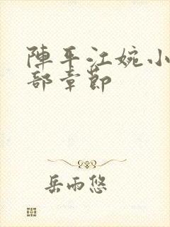 阵平江婉小说全部章节