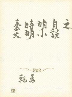 秦时明月之夜尽天明小说