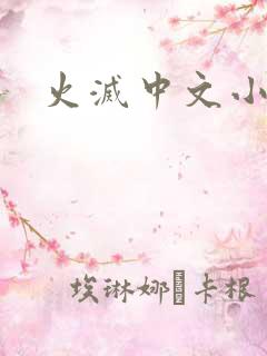 火灭中文小说