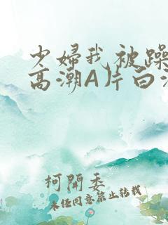 少妇我被躁爽到高潮A片白洁