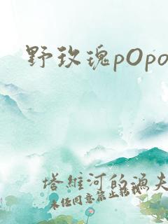 野玫瑰pOpo