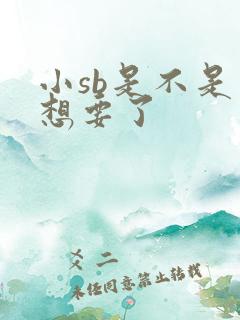 小sb是不是又想要了
