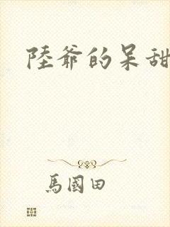 陆爷的呆甜萌妻