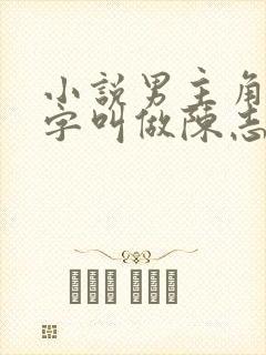 小说男主角的名字叫做陈志远