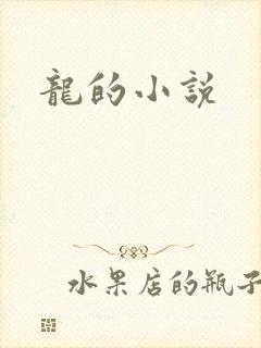 龙的小说