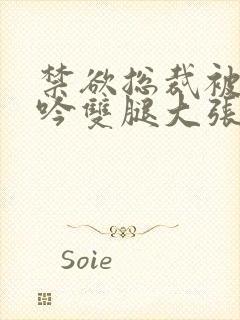 禁欲总裁被C呻吟双腿大张