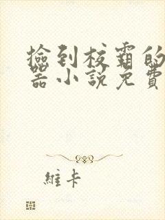 捡到校霸的遥控器小说免费阅读无弹窗